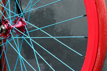 wheel of a bicycle