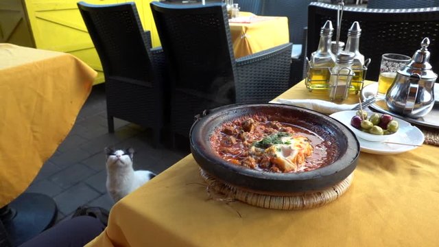 Traditional moroccan Tajine food cooking in pots on table in cafe and cat enjoying the view. Hand of local Cook is opening boiling dish and release smoke at bright sunny weather 