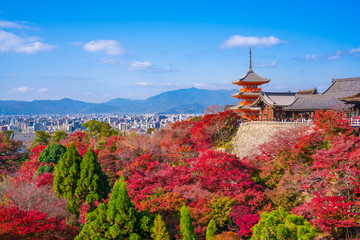 京都　清水寺の紅葉