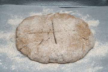 Whole grain bread dough