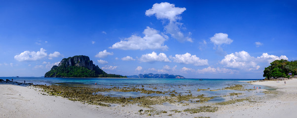 Obraz premium panorama of the river