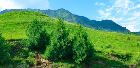 mountain landscape with green grass
