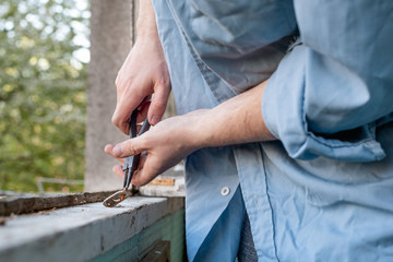 Male hands repairing old wooden windows using a a pair of pliers and unscrewing a screw from a metal bracket . Repairing interior of old house. Close-up of home DIY