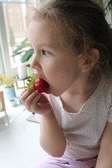 A little girl with brown eyes and curly hair is eating red strawberries. Fresh fruits and berries as the basis of a healthy diet