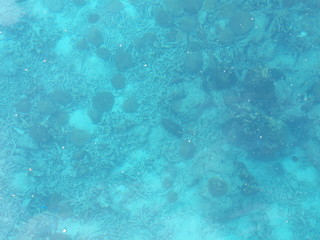 Clear sea water and seabed