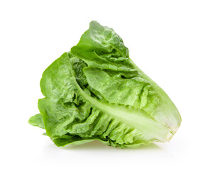 fresh baby cos (lettuce) on white background