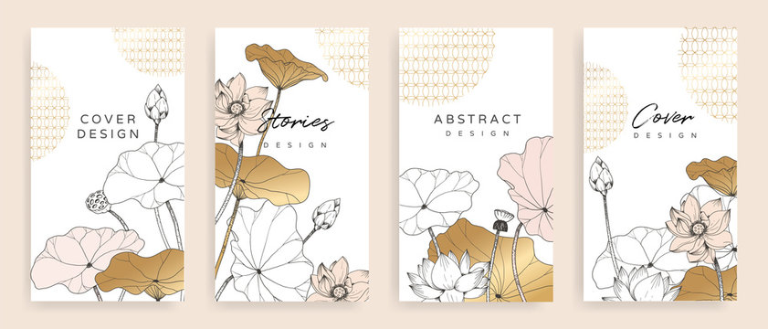 Luxury cover design template. Lotus line arts hand draw gold lotus flower and leaves. Design for packaging design, social media post, cover, banner, creative post, Gold geometric pattern design vector