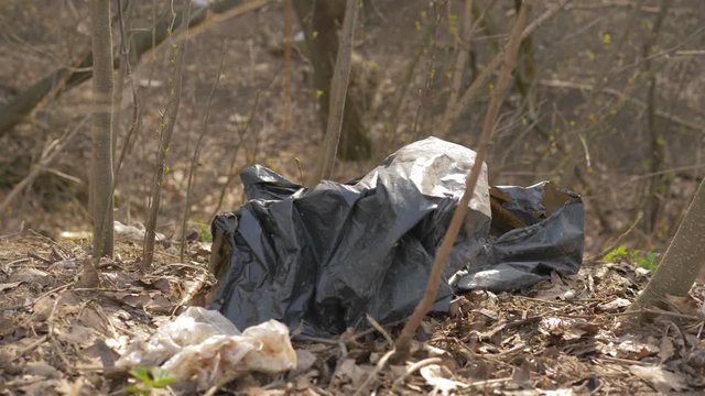 Black plastic bag and a pile of garbage in the forest between the trees