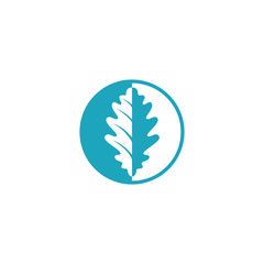 Oak leaf Logo Template Design Vector, Emblem, Design Concept, Creative Symbol, Icon.