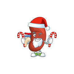 Right human kidney humble Santa Cartoon character having candies