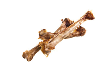 bone isolated on white background