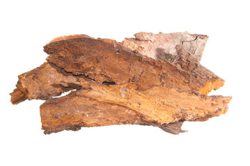 tree bark isolated on white background