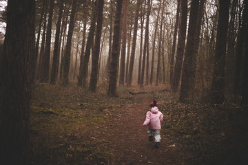 little girl walking in the woods