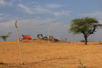 Savanna in the middle of Desert