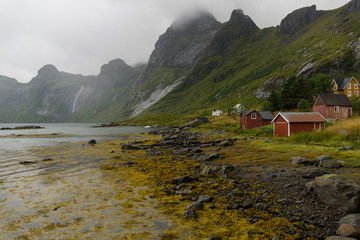 Lofoten, Norway - September 04, 2019: Several red hut on the shore of Reinefjorden in a rainy day 