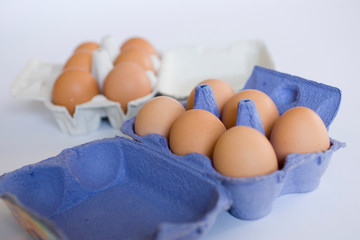 Oeufs sur fond neutre blanc