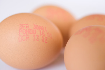 Oeufs sur fond neutre blanc