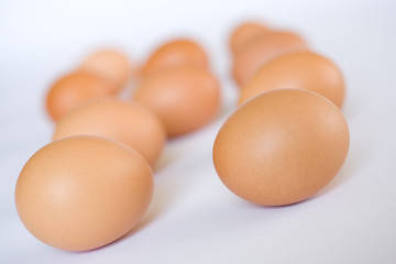 Oeufs sur fond neutre blanc