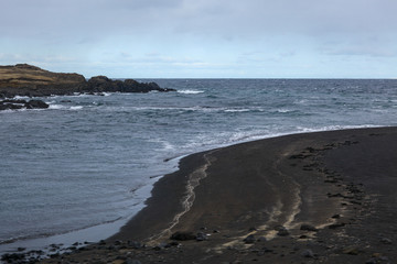 Fototapeta na wymiar Ocean beach with coastal waves and black sand in Iceland