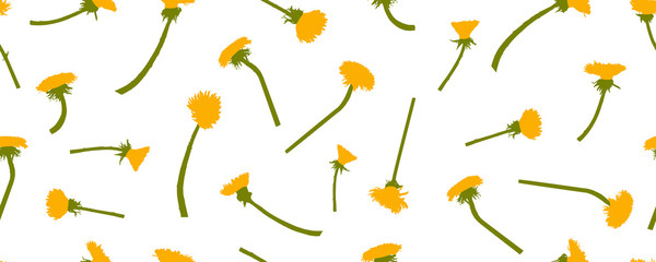 Yellow dandelions flowers, seamless pattern. Vector illustration.