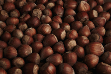 Hazelnut. Fresh organic filbert. Nuts macro background.