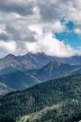 góry las krajobraz w słońcu