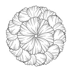 Poppy flower petals antistress coloring mandala. Round floral ornament.