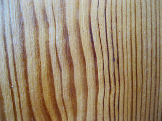 texture wood