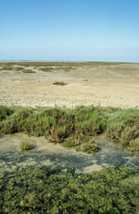 Parc naturel régional de Camargue, 13, Camargue , Bouches du Rhône