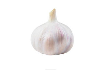 Garlic on a white background. Isolated