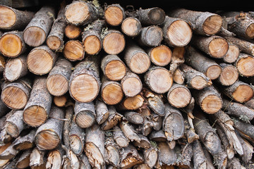 Cross section of the timber, firewood stack for the background. A lot of cutted logs. Stack of sawn logs. Natural wooden decor background. Pile of chopped fire wood prepared for winter