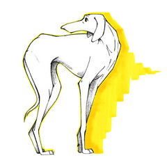 Dog with long legs. Marker and linera art. Hand drawn sketch