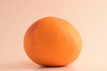 PAMPLEMOUSSE DANS UN STUDIO PHOTO 