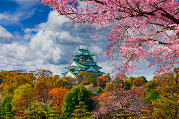 Osaka Castle and full cherry blossom, Japan