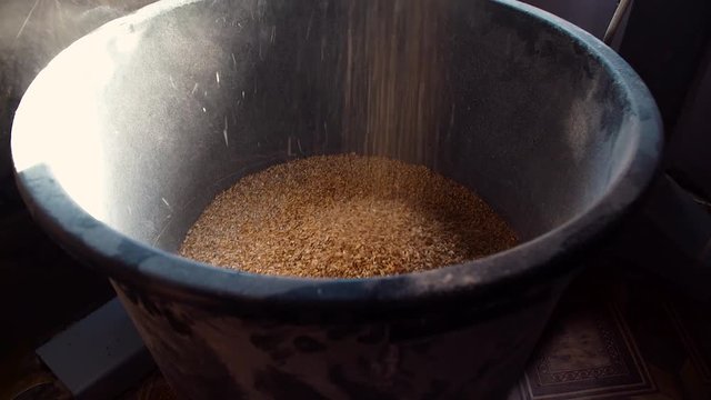 toasted barley malt to make dark and light beer. concept of nature and creation of natural products such as beer and fresh hops. organic and natural malt for brewmaster
