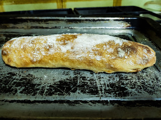 Homemade ciabatta covered in flour