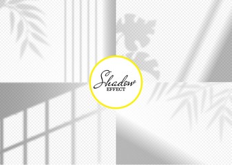 Realistic shadow effect overlays with leaves set vector illustration. Natural light effects on transparent background. Exotic tropical leaf. Decorative design elements for collage, mockup. Copy space
