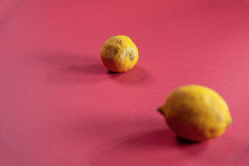 two yellow lemons with red background