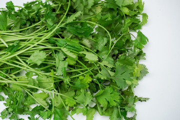 A handful of fresh parsley on a white background