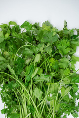 A handful of fresh parsley on a white background
