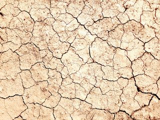 The ground has cracks in the top view for the background