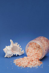 Fototapeta na wymiar Pink sea salt in a transparent jar is scattered and a seashell on a dark blue background. Isolated. Free space for text 