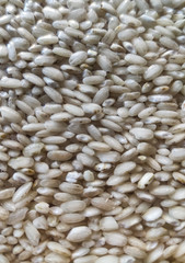 Arborio rice, close up texture