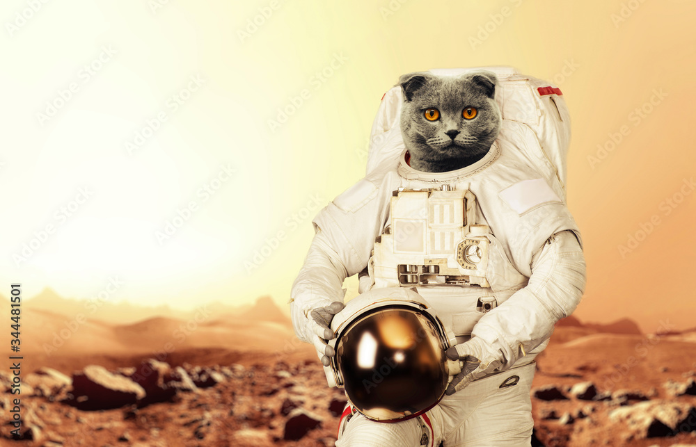 Aufkleber spaceman cat walks on the red planet mars. space mission. astronaut travel in space