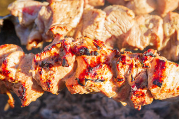 Fresh pork shish kebab is fried on skewers on the grill
