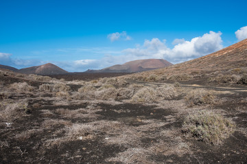 Volcanic Lanzarote landscape. Lanzarote. Canary Islands. Spain
