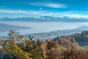 Fog over lake Zurich seen from the Uetliberg mountain