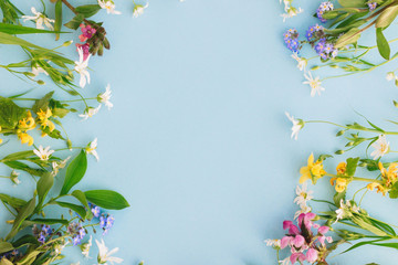 Wildflowers colorful frame on blue paper background, flat lay with space for text. Blooming spring flowers, floral greeting card template. Happy Easter. Mother's day concept. Hello spring