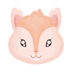 head of cute cat on white background, feline domestic