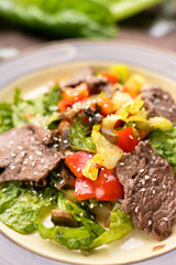 Delicious food: slow cooked pulled beef with fresh vegetable salad close-up on a plate. 